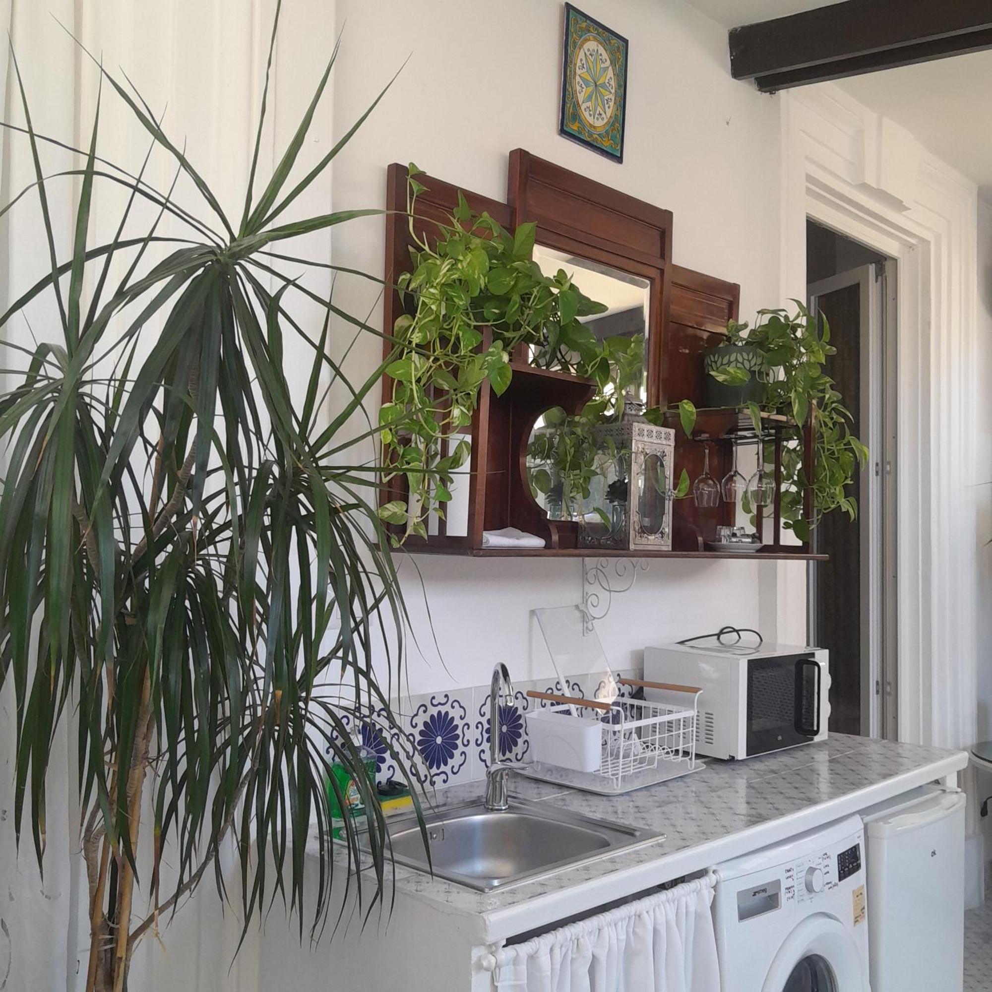 B&B Lido Liberty Lido di Ostia Luaran gambar